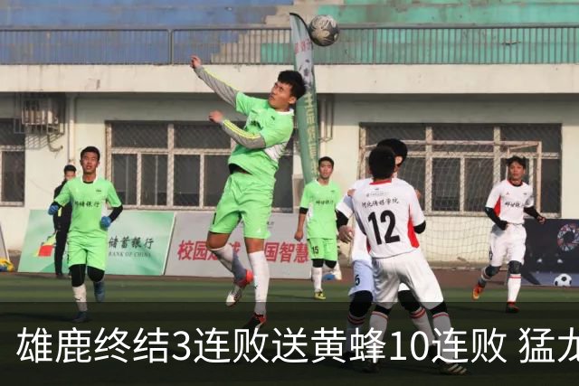 雄鹿终结3连败送黄蜂10连败 猛龙送火箭3连败